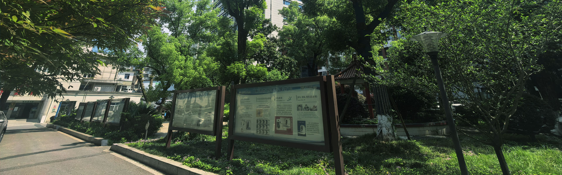 老年医学科特色